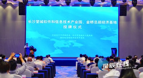 望城軟件園揚帆起航，專項扶持政策助力信息技術服務業騰飛