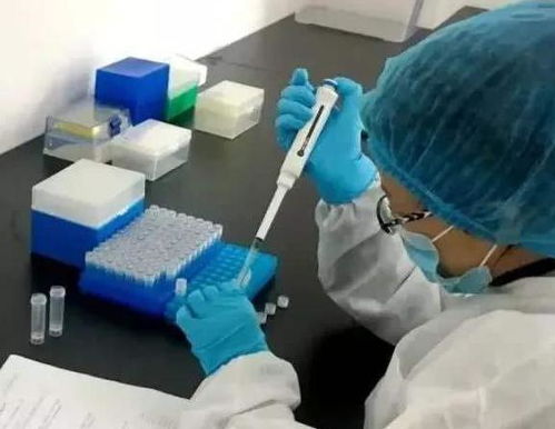 直面爭議，中國檢測試劑盒的質量真相足以令西方沉默