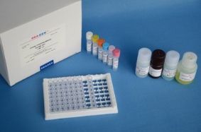 小鼠催產素(OT)ELISA試劑盒產品展示——48T/96T規格，美國R&D、RB(rapidbio)及國產可選
